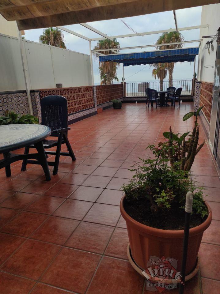For rent of apartment in Caleta de Vélez