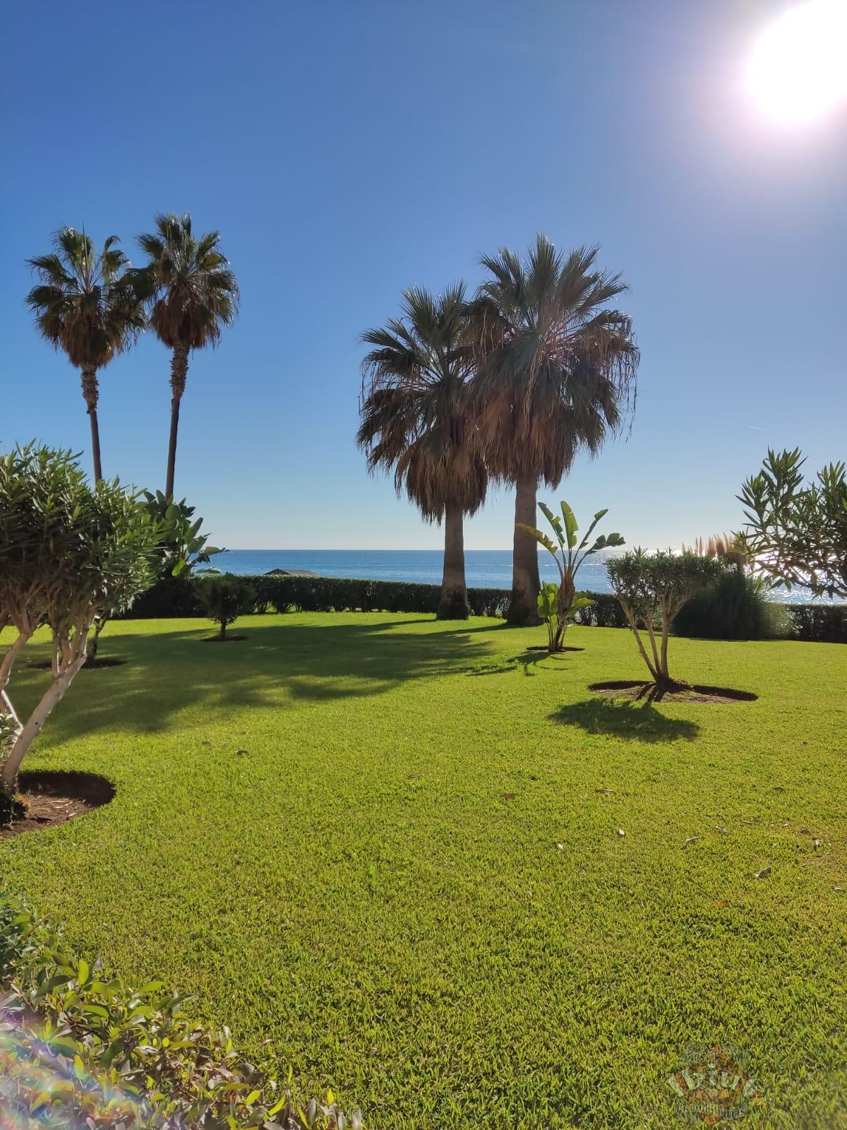 For sale of study in Torrox-Costa