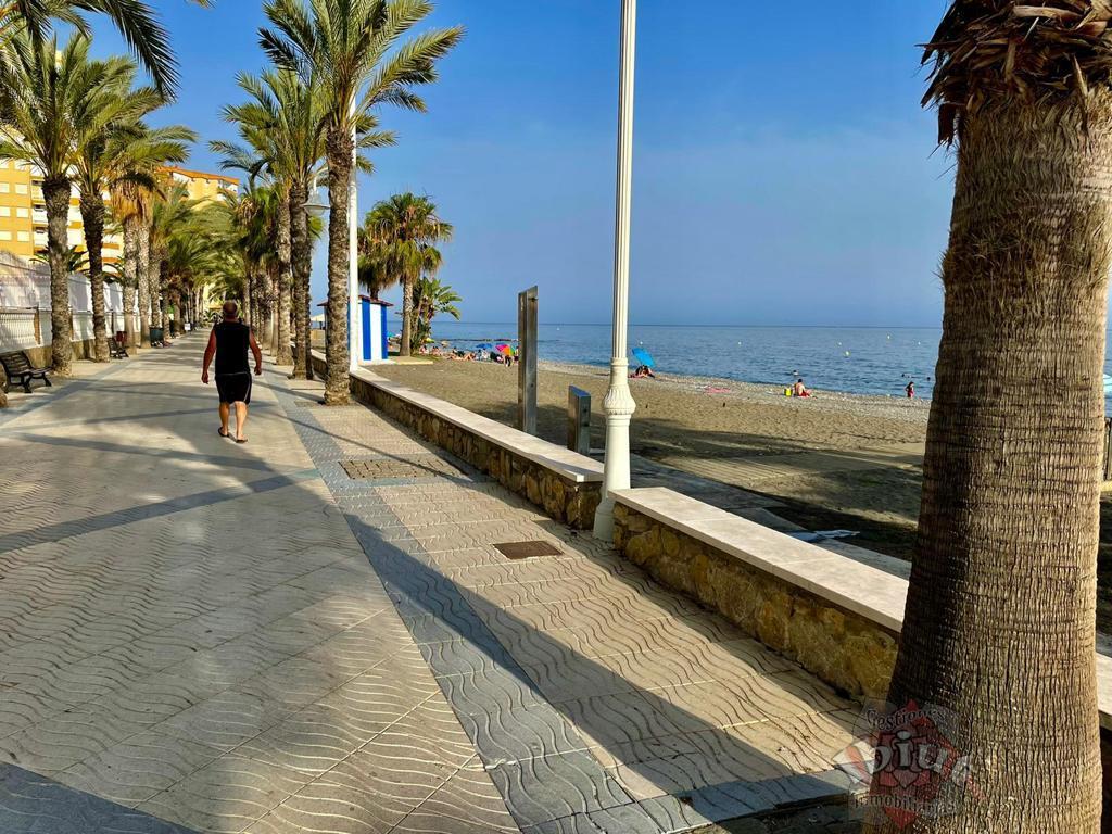 For rent of apartment in Algarrobo Costa