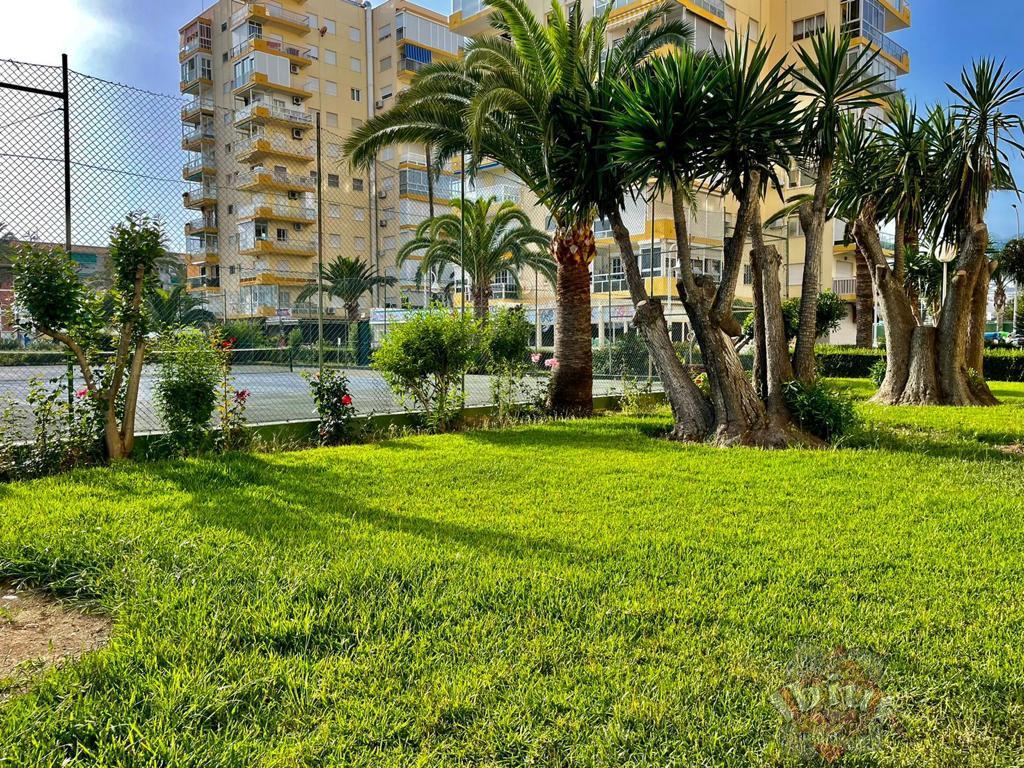 For rent of apartment in Algarrobo Costa