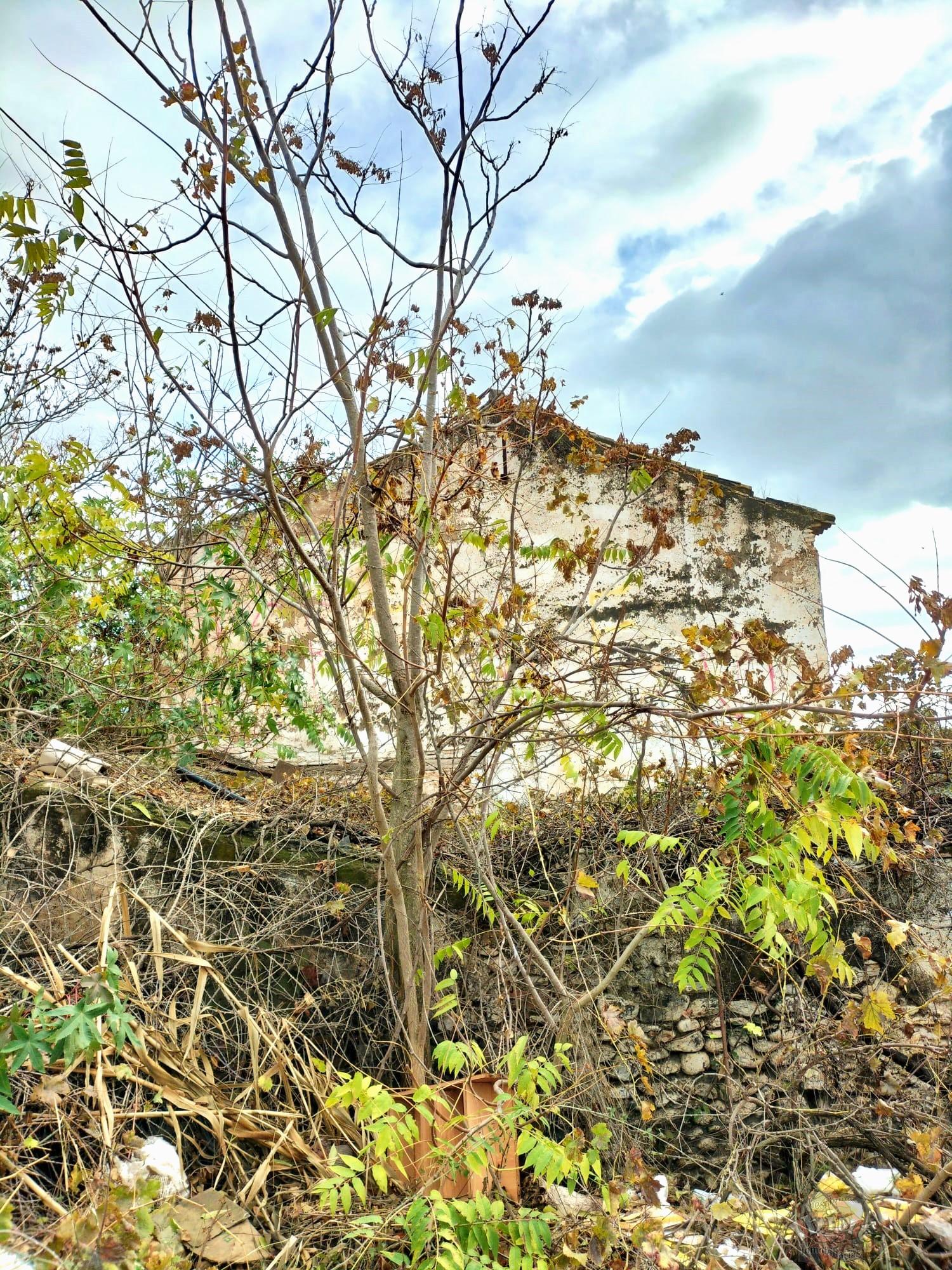 Venta de finca rústica en Vélez-Málaga Municipio