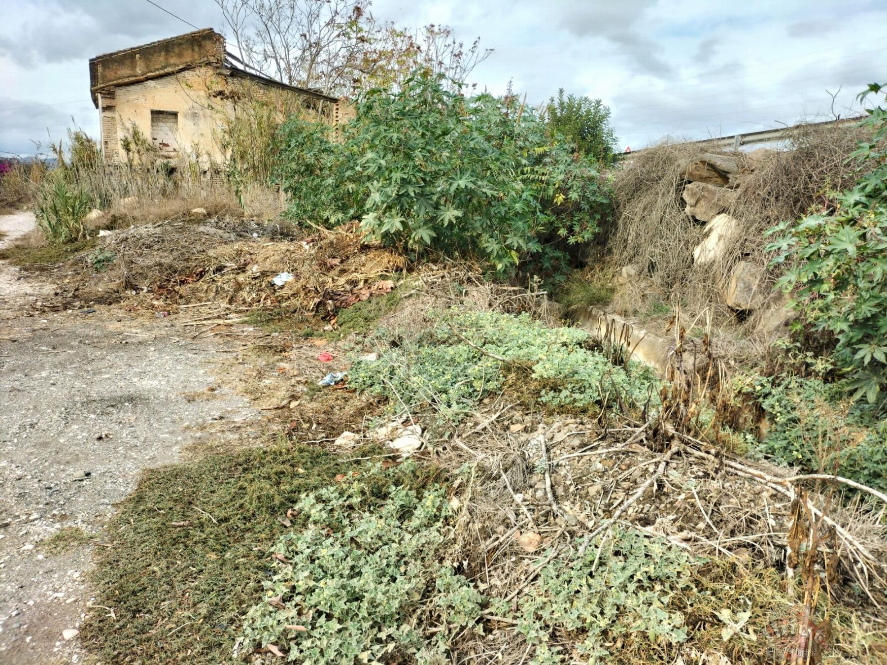 Venta de finca rústica en Vélez-Málaga Municipio