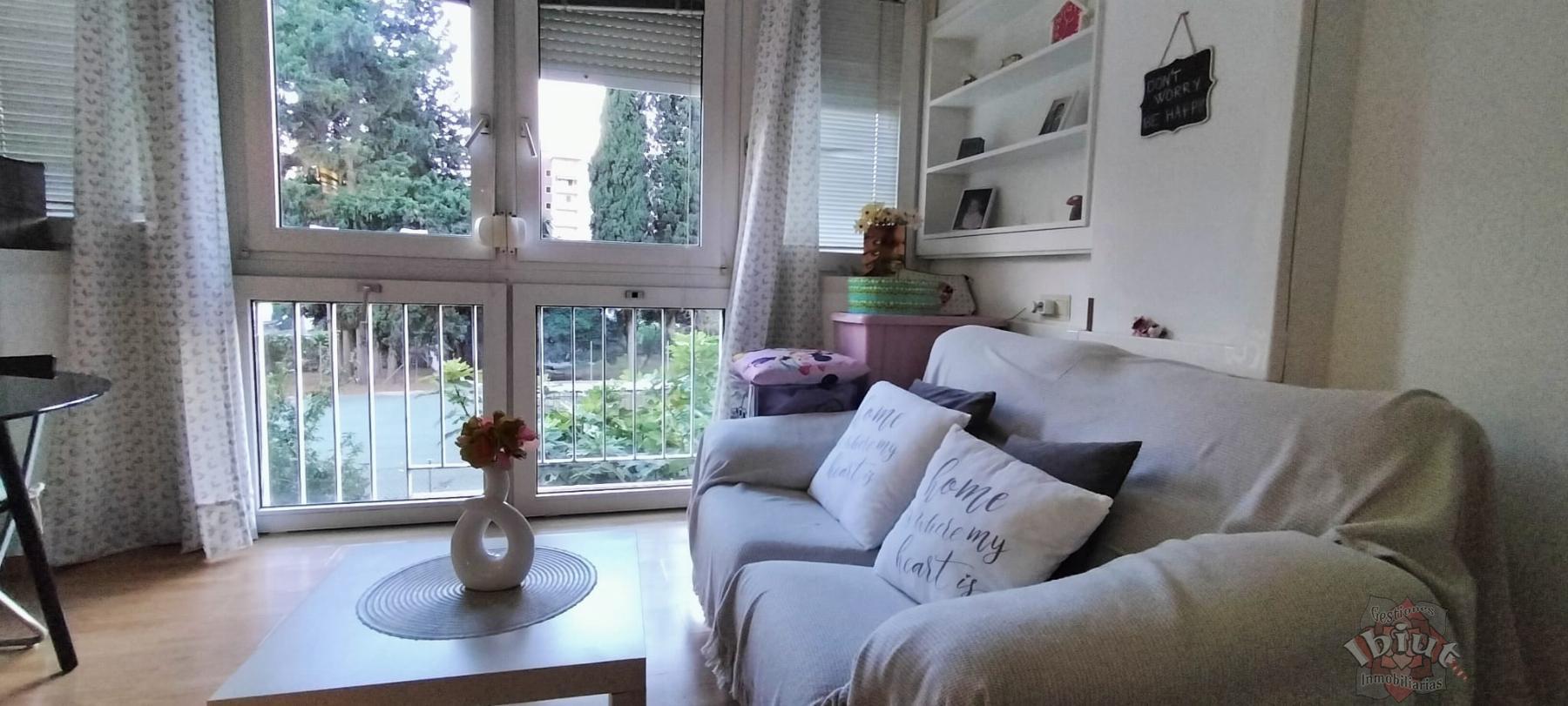 For rent of study in Torre del Mar