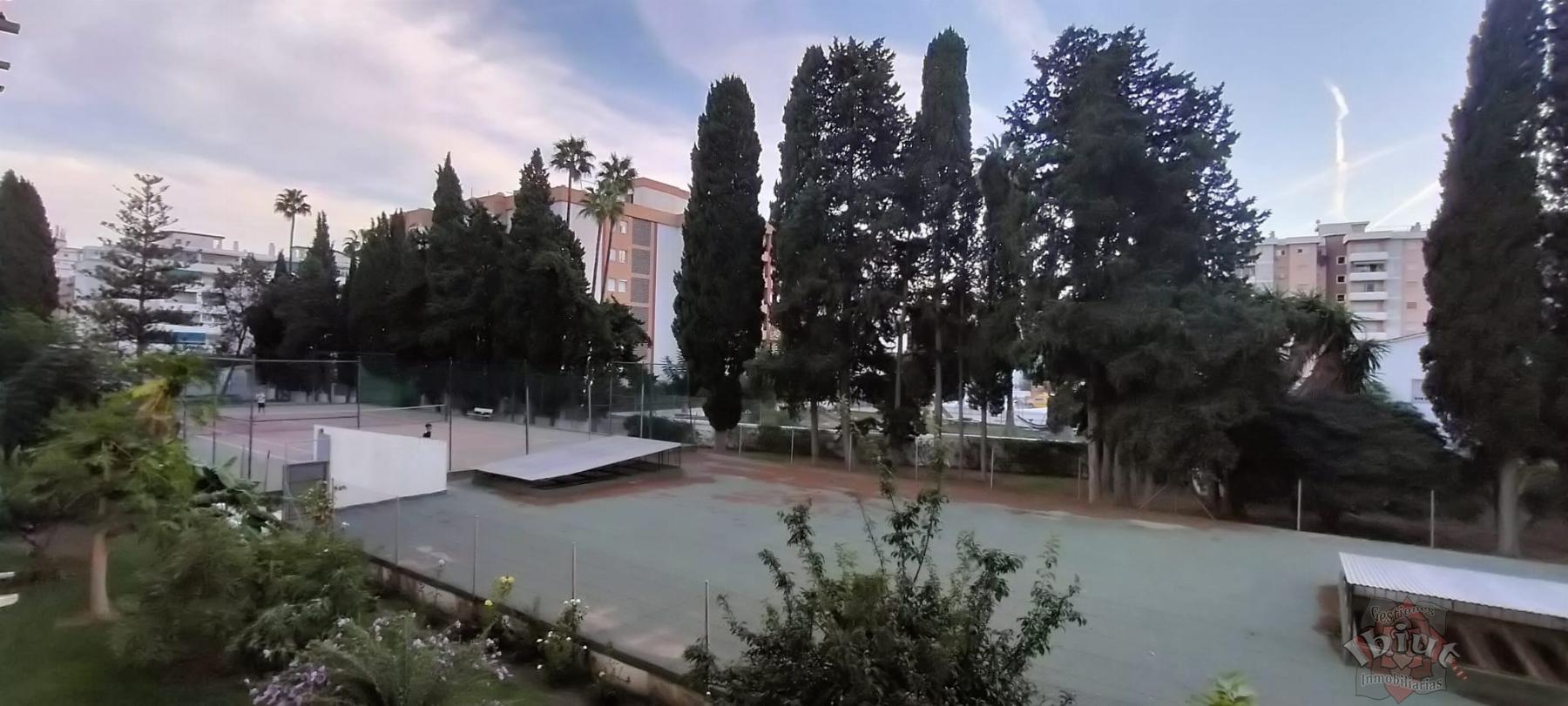 For rent of study in Torre del Mar