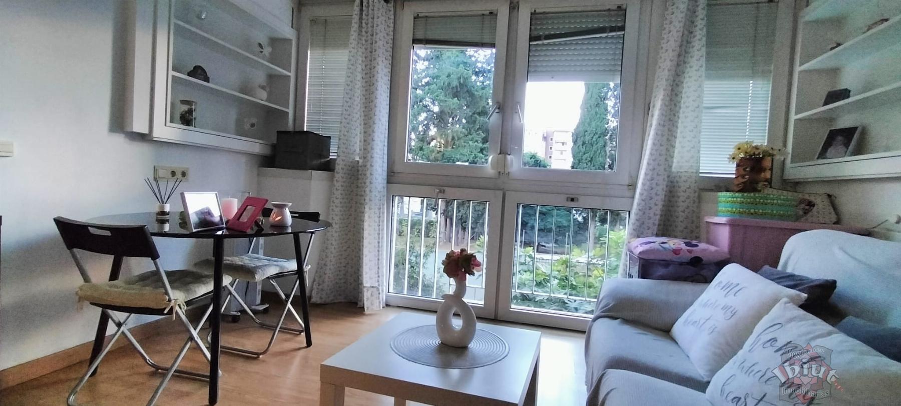 For rent of study in Torre del Mar