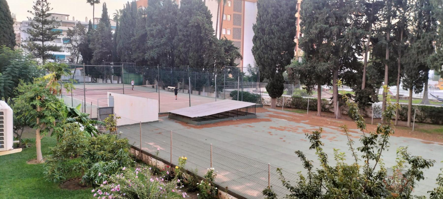 For rent of study in Torre del Mar