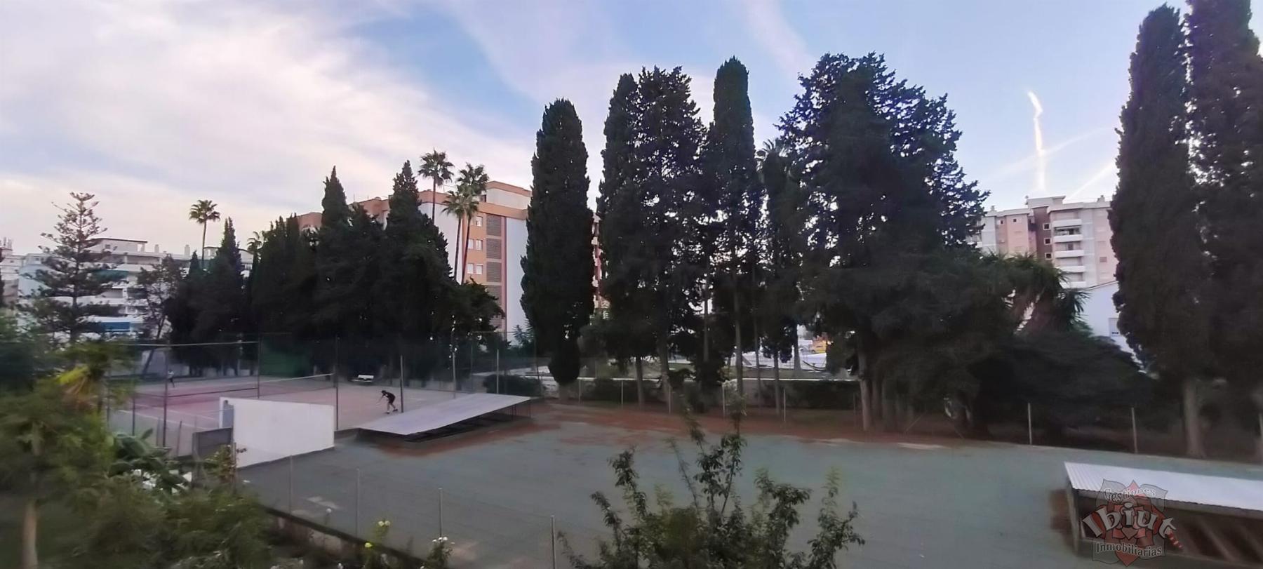 For rent of study in Torre del Mar