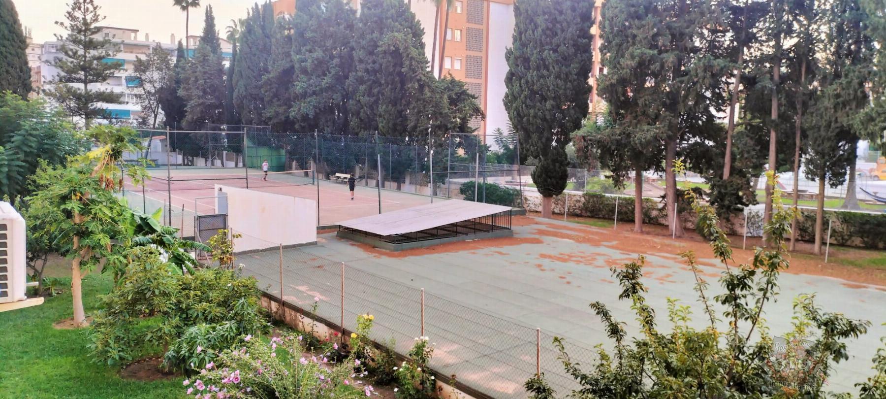 For rent of study in Torre del Mar