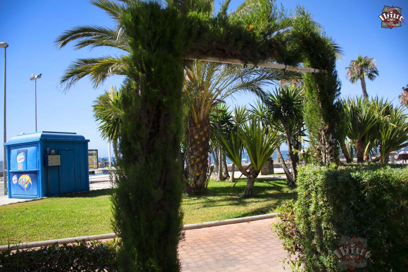 Alquiler de apartamento en Caleta de Vélez