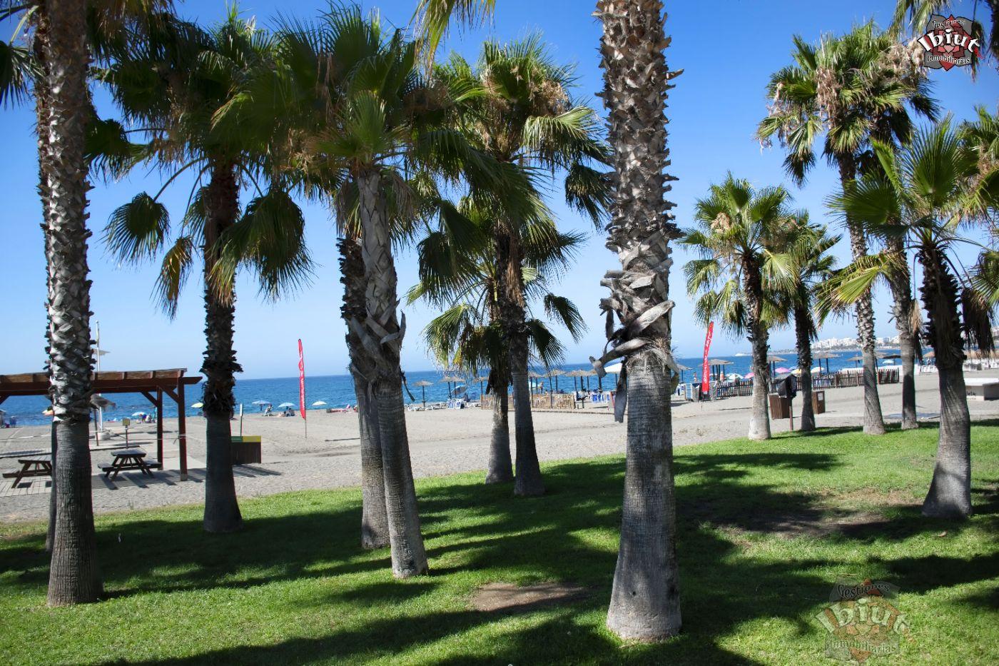 Alquiler de apartamento en Caleta de Vélez