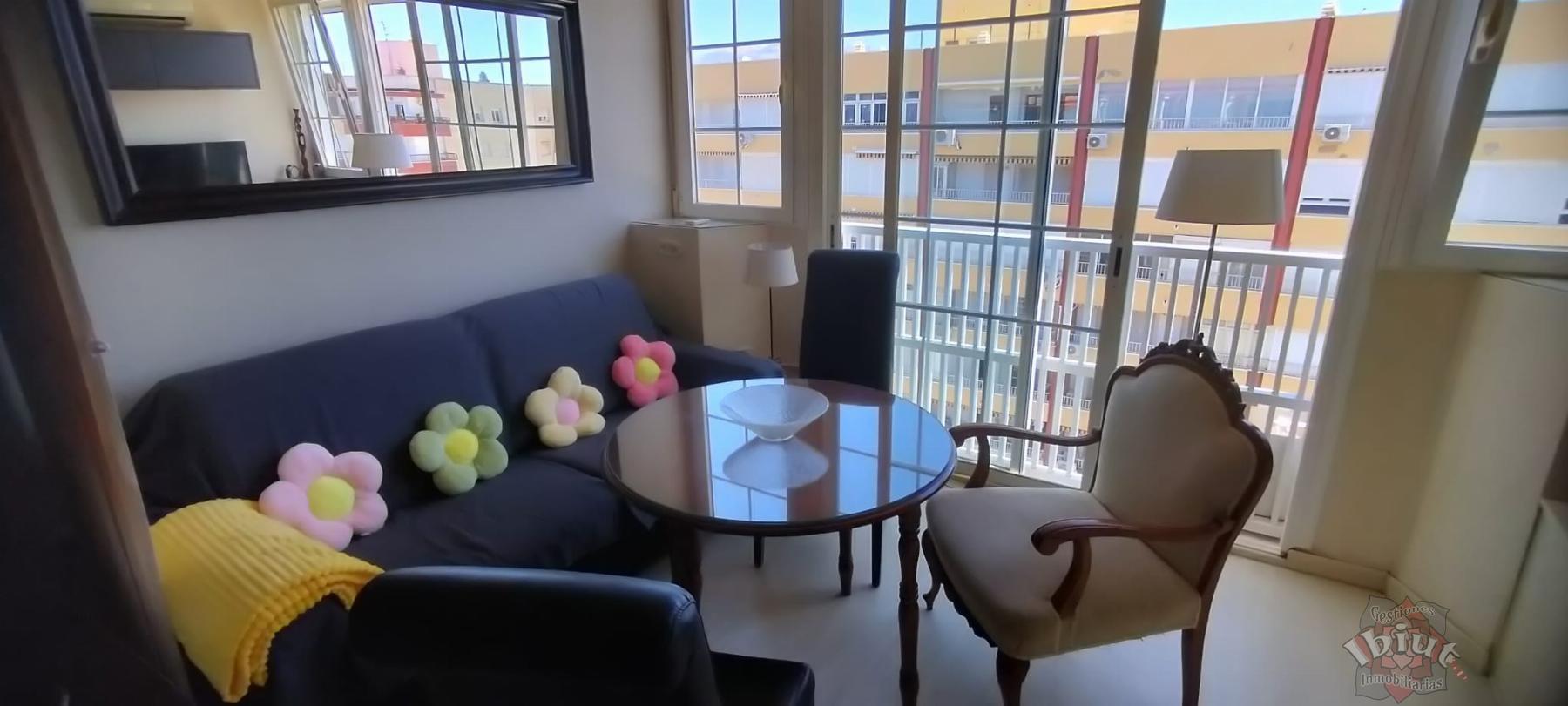 For rent of study in Torre del Mar