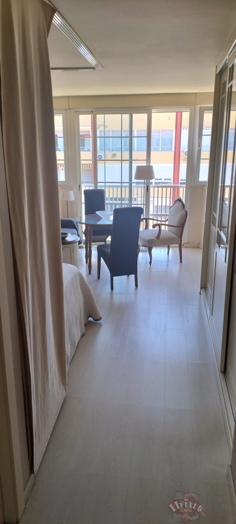 For rent of study in Torre del Mar