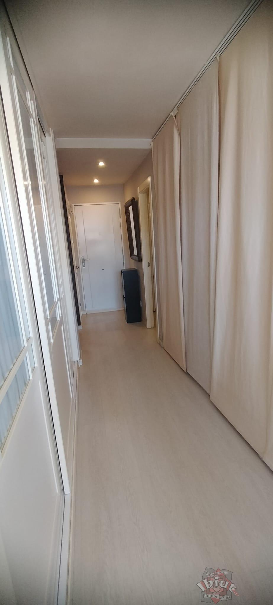 For rent of study in Torre del Mar