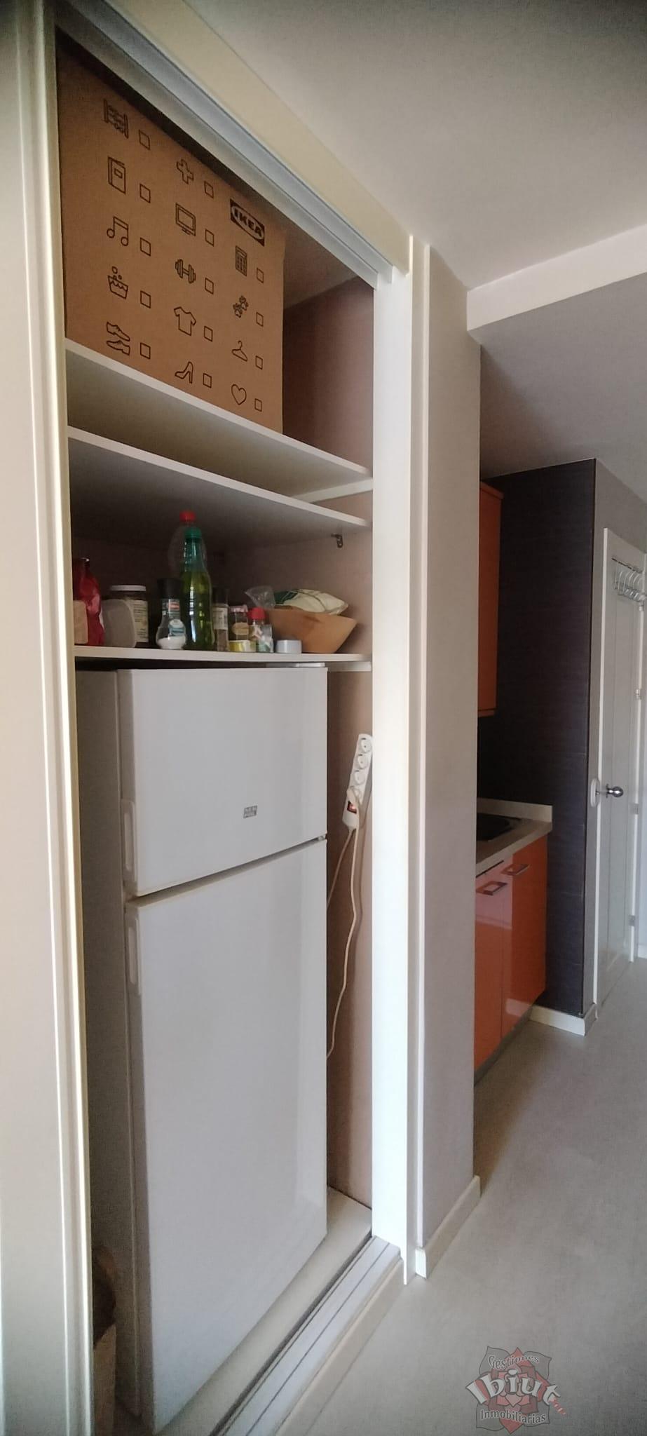 For rent of study in Torre del Mar