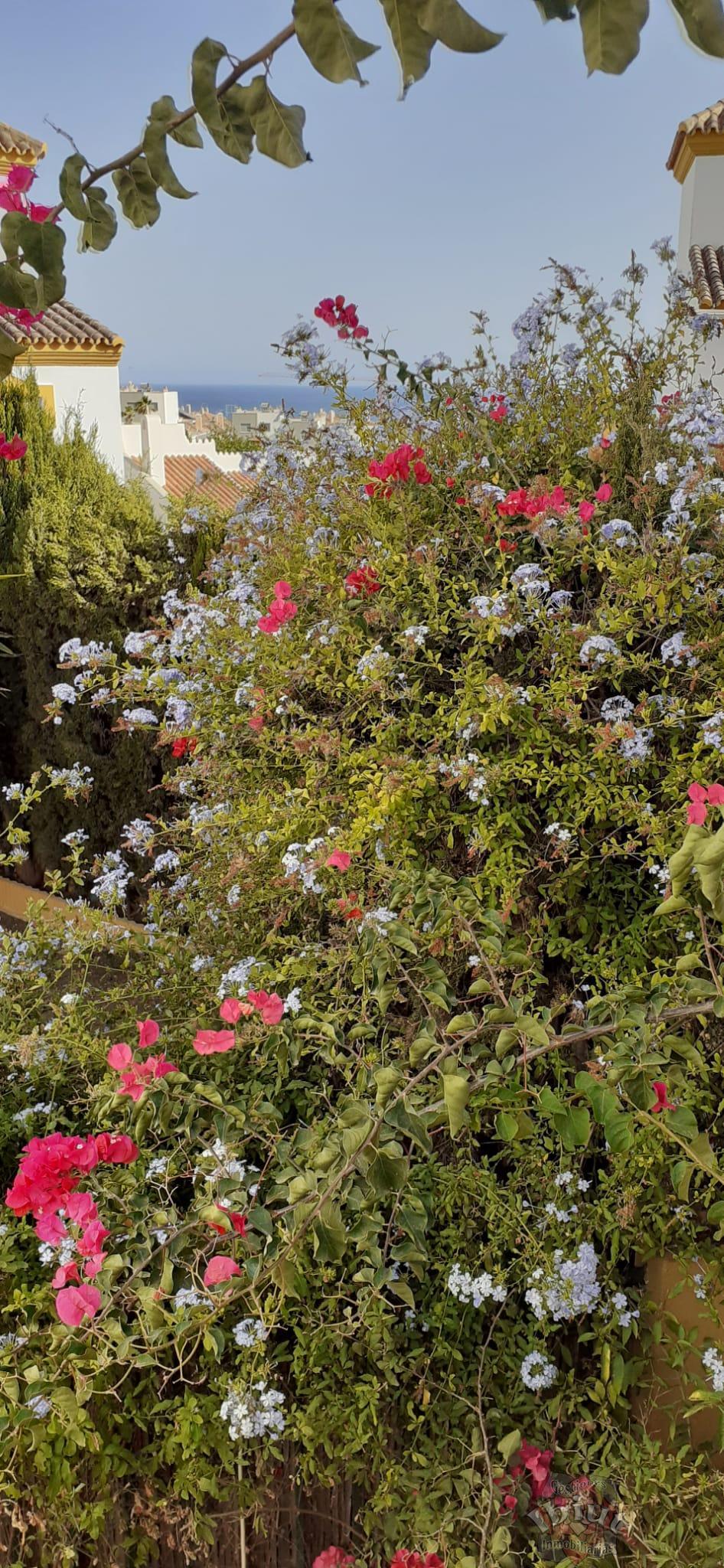 For rent of house in Torre del Mar