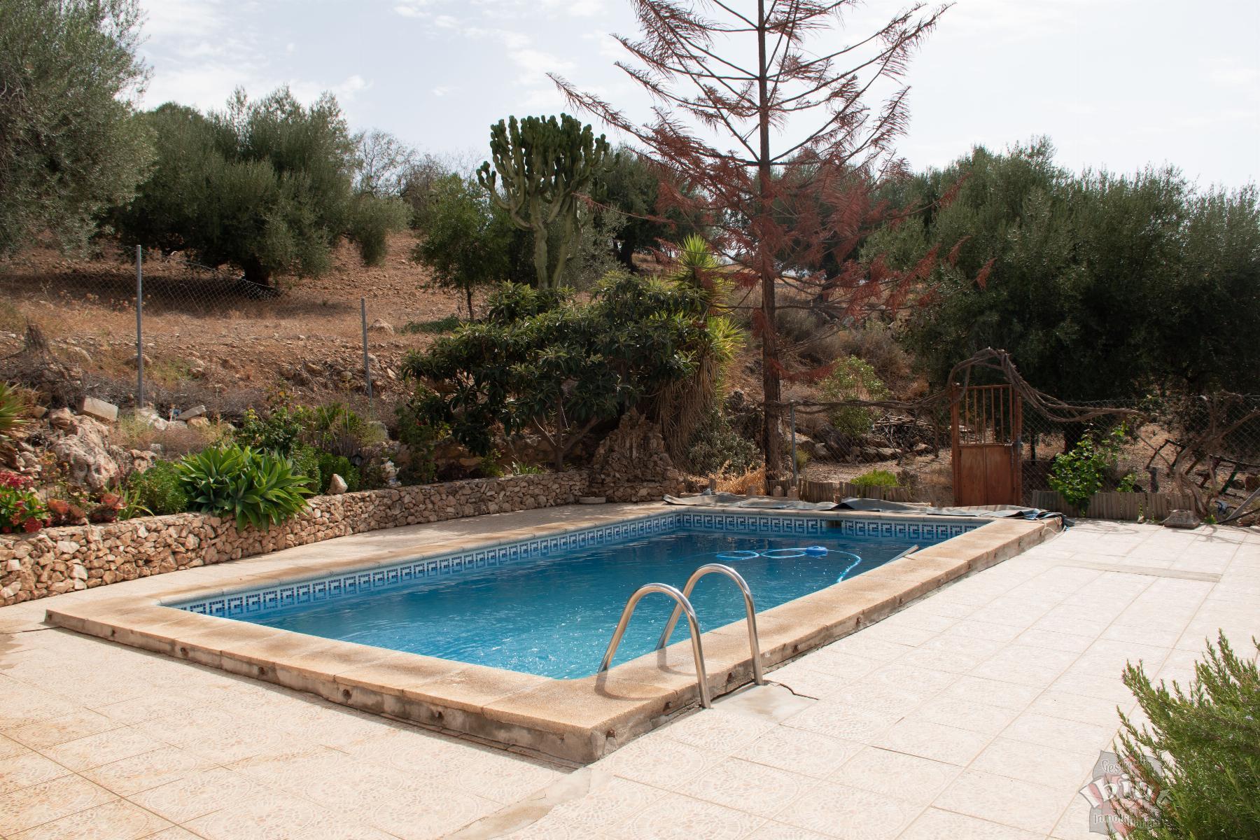 For sale of villa in Alcaucín