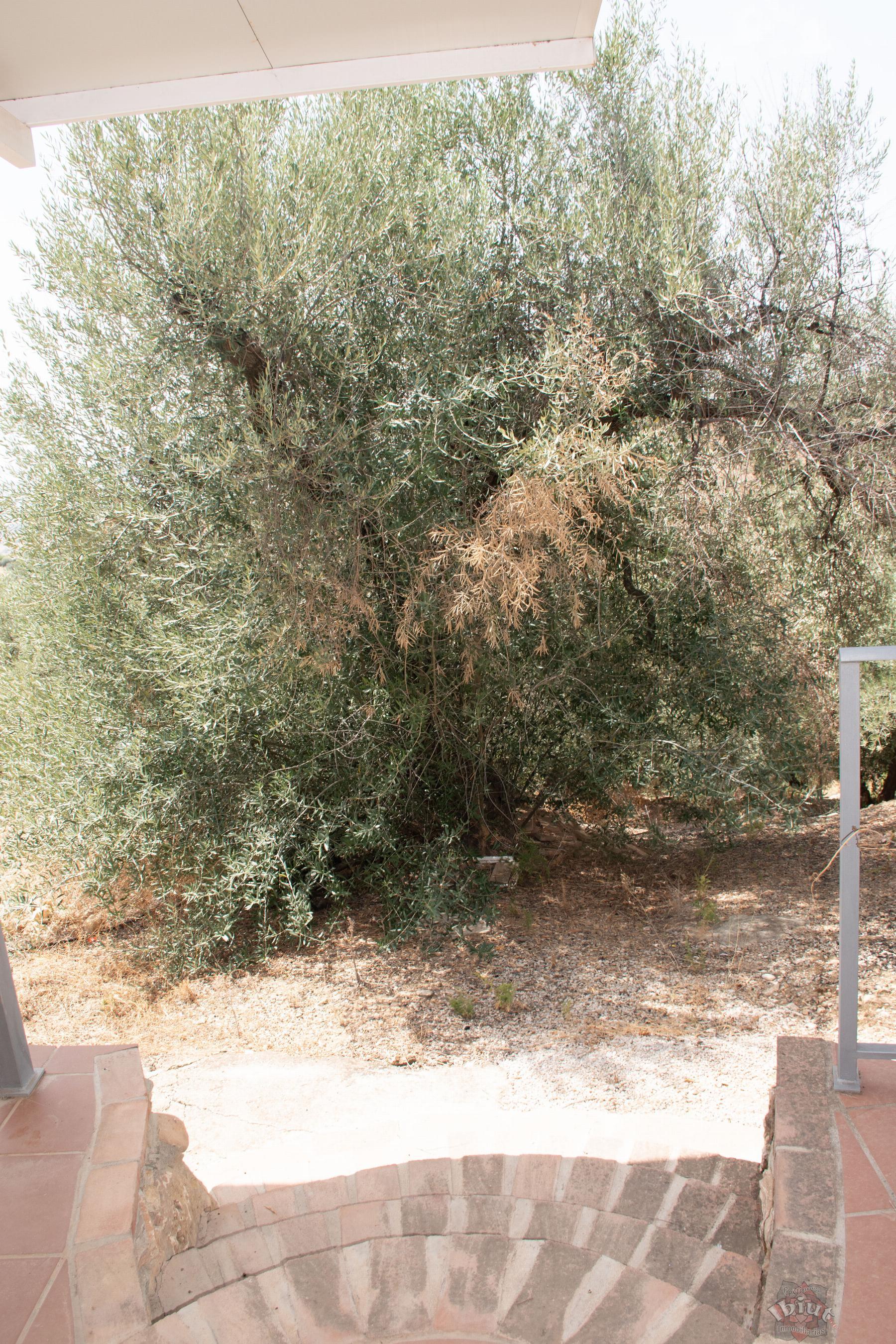 For sale of villa in Alcaucín