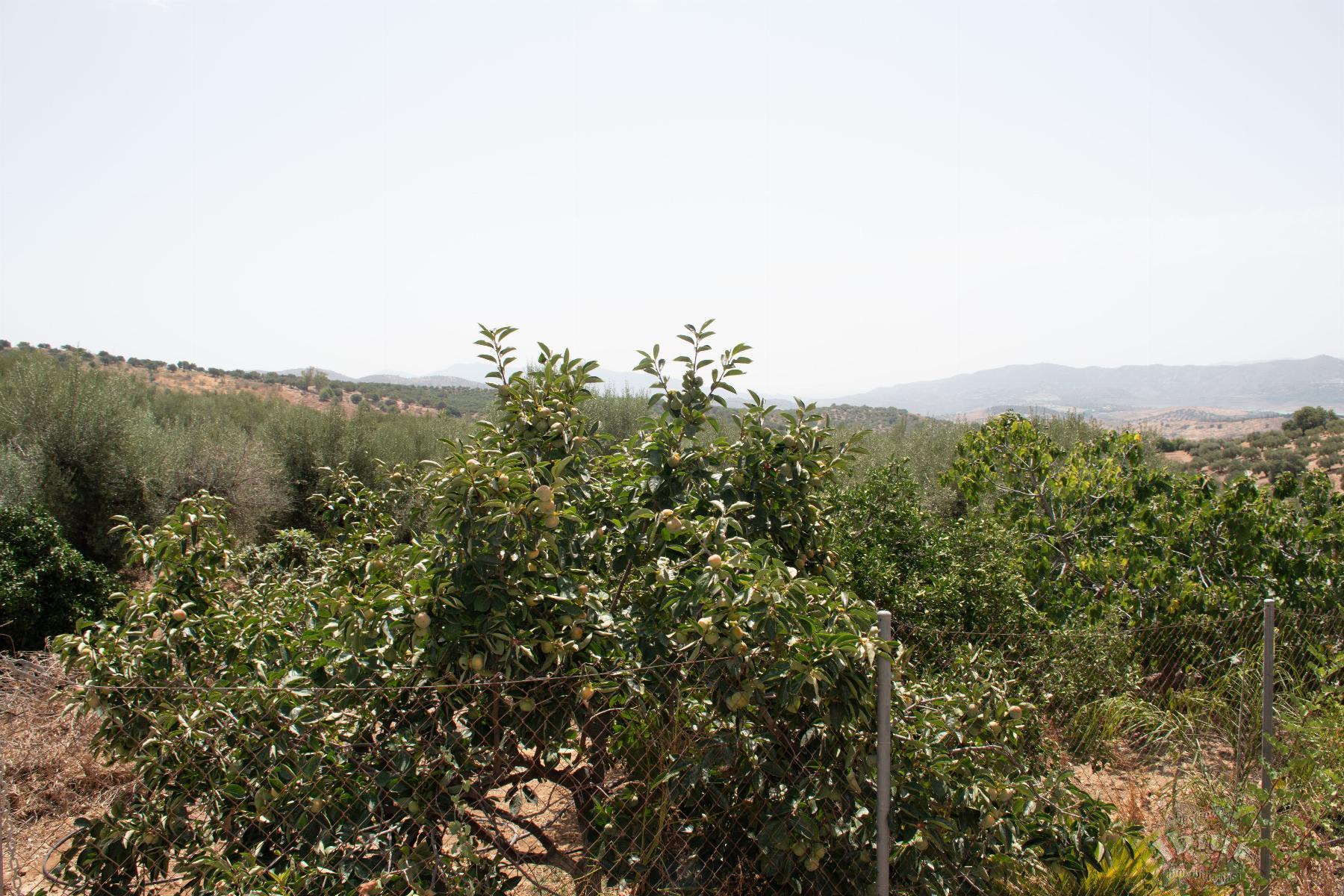 For sale of villa in Alcaucín