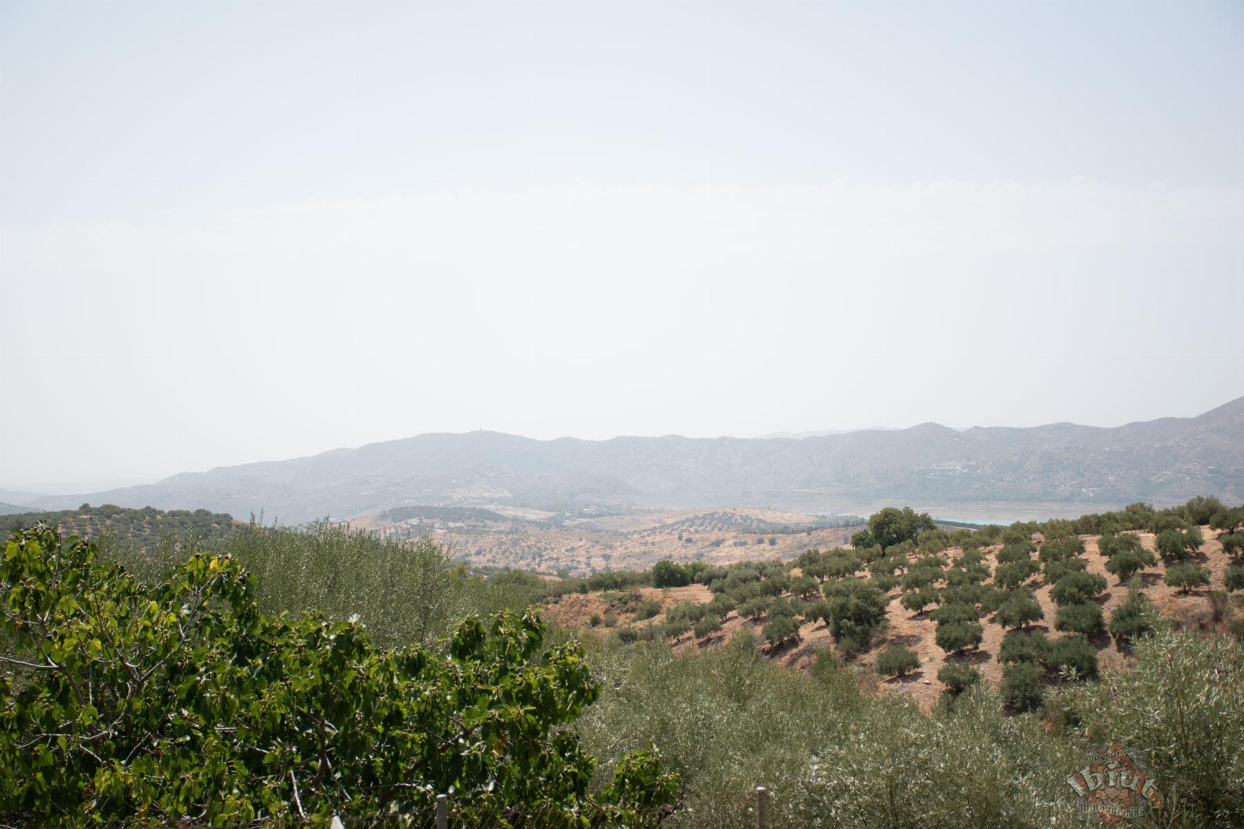 For sale of villa in Alcaucín
