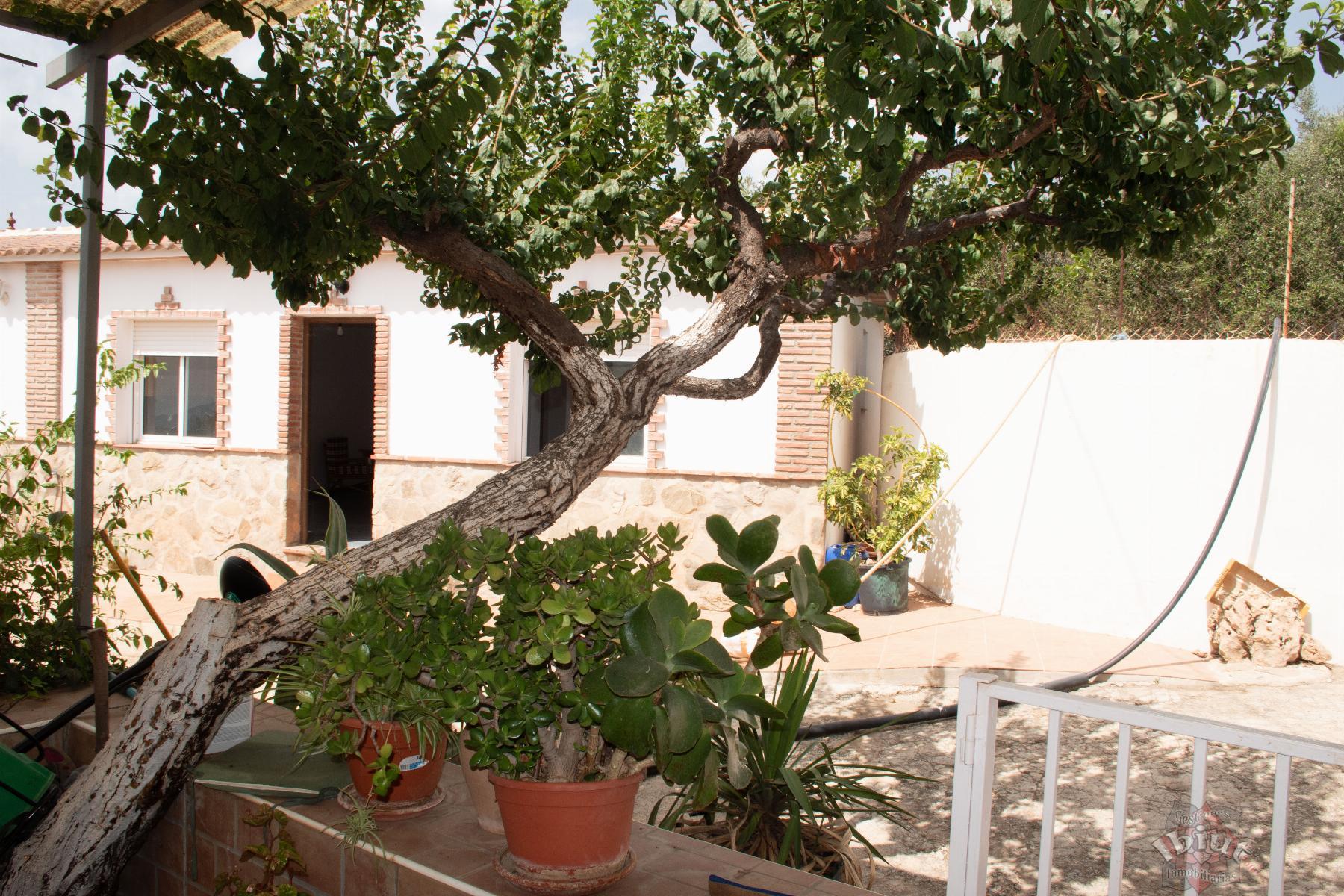 For sale of villa in Alcaucín
