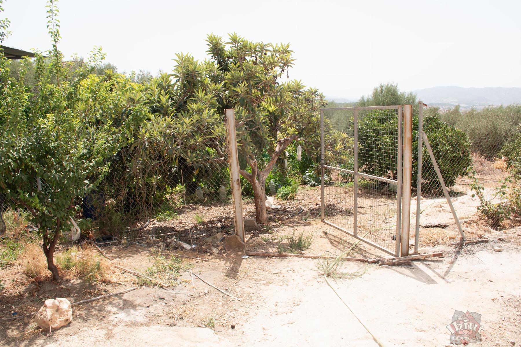 For sale of villa in Alcaucín