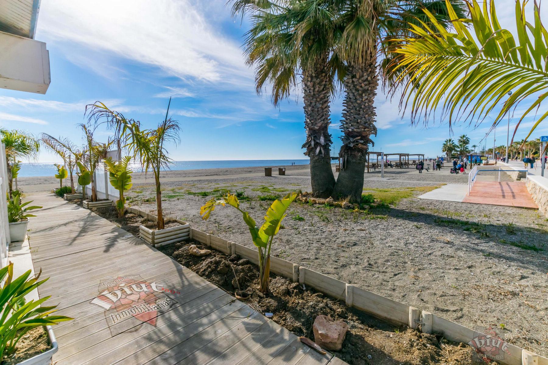 For rent of flat in Torre del Mar