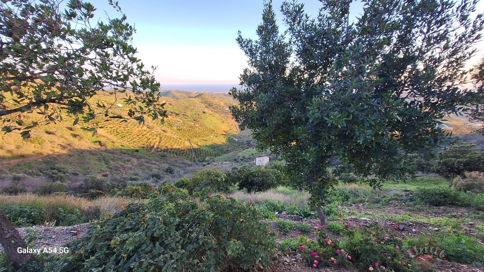 Alquiler de casa en Iznate