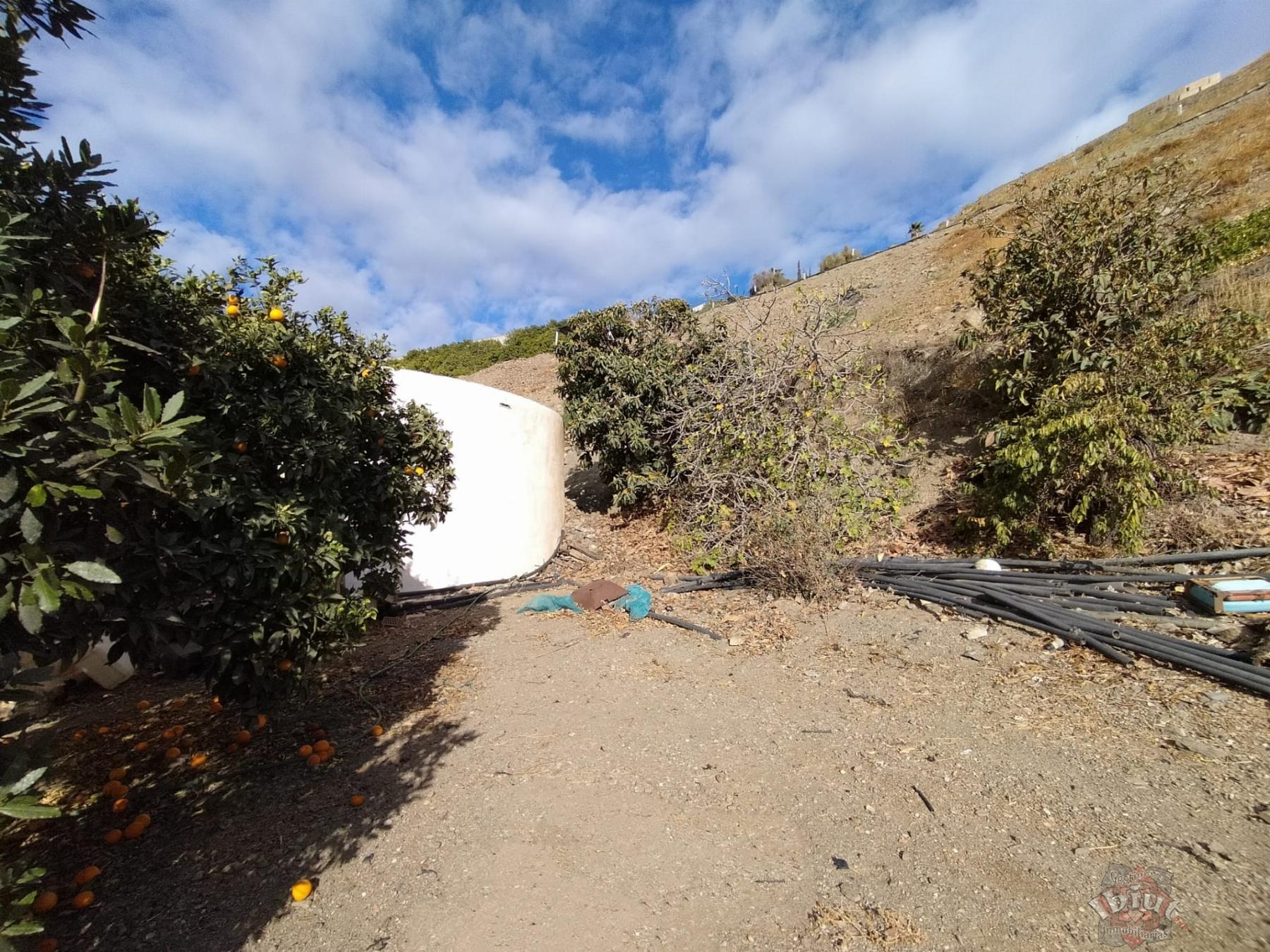 Venta de terreno en Algarrobo