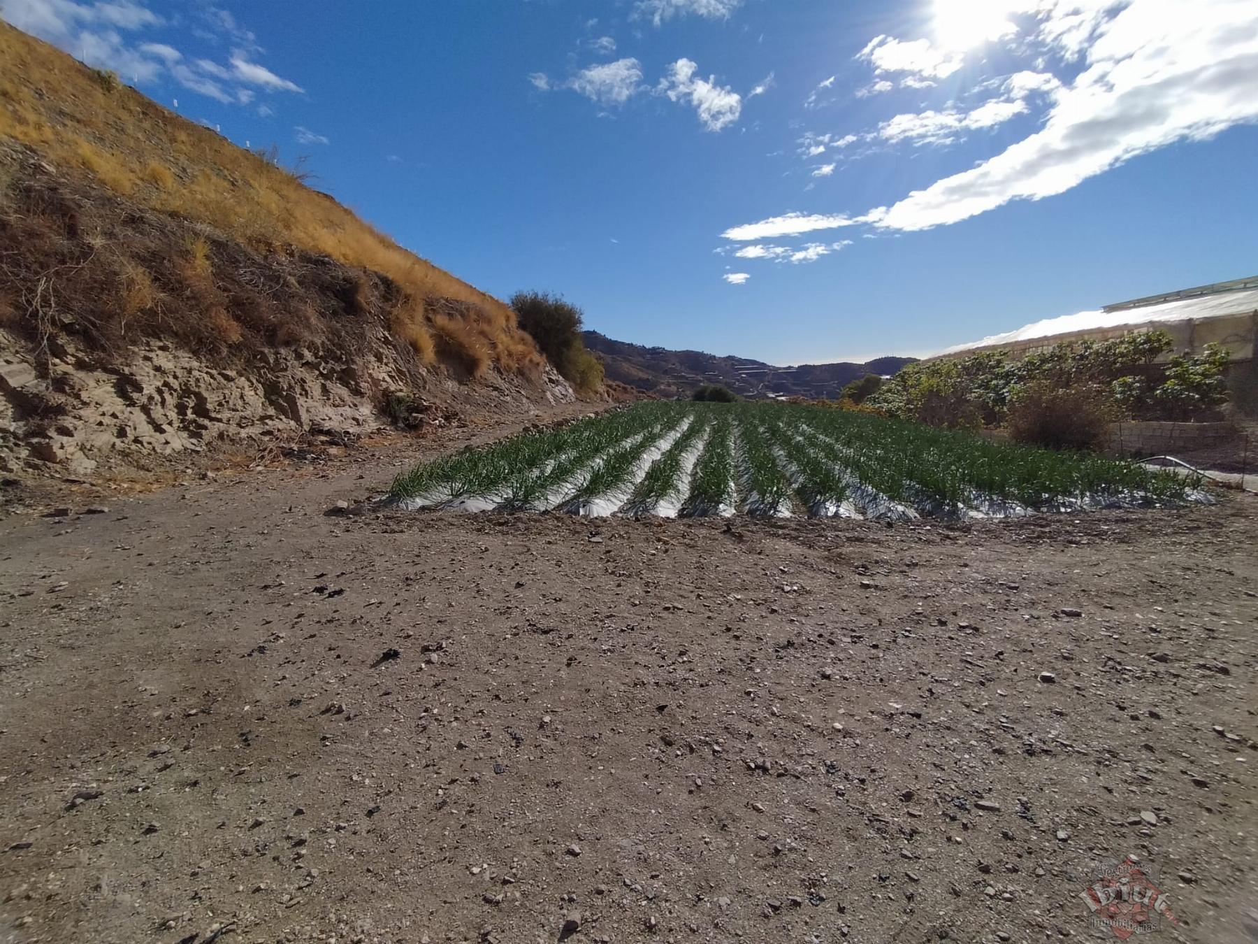 Venta de terreno en Algarrobo