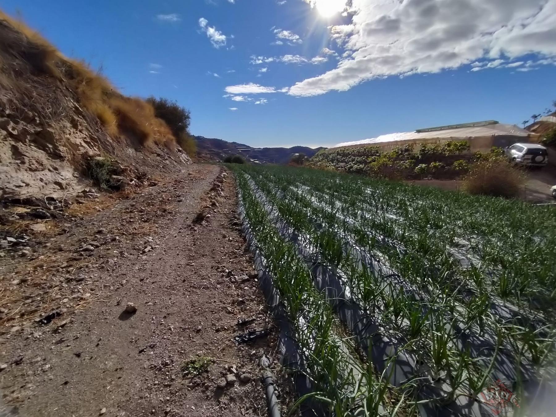 Venta de terreno en Algarrobo