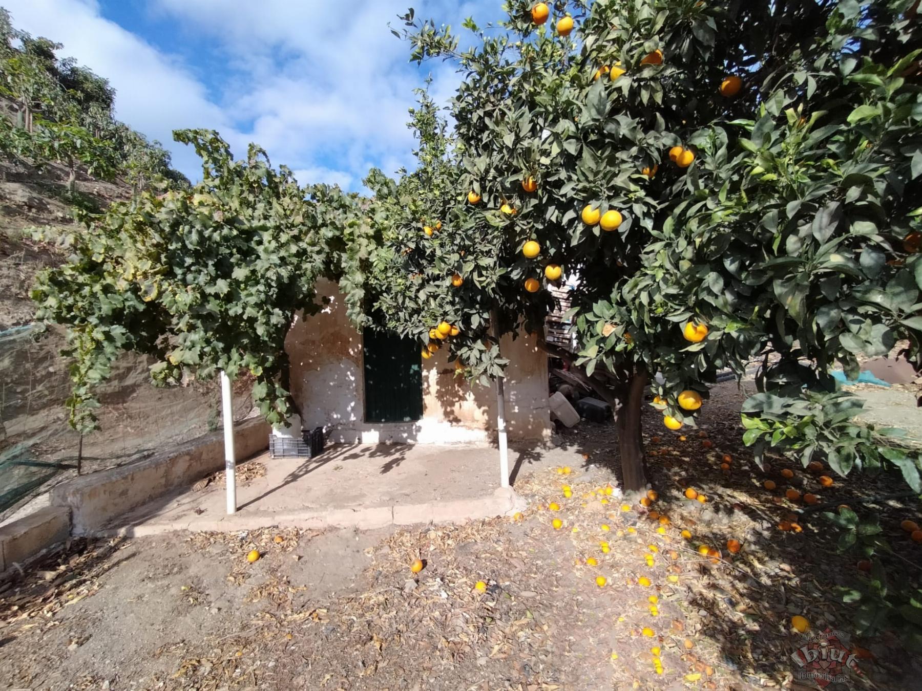 Venta de terreno en Algarrobo