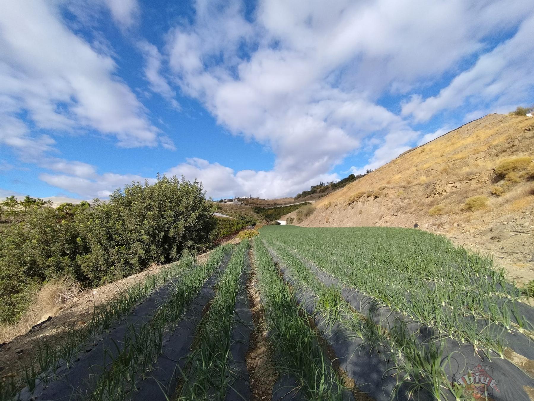 Venta de terreno en Algarrobo