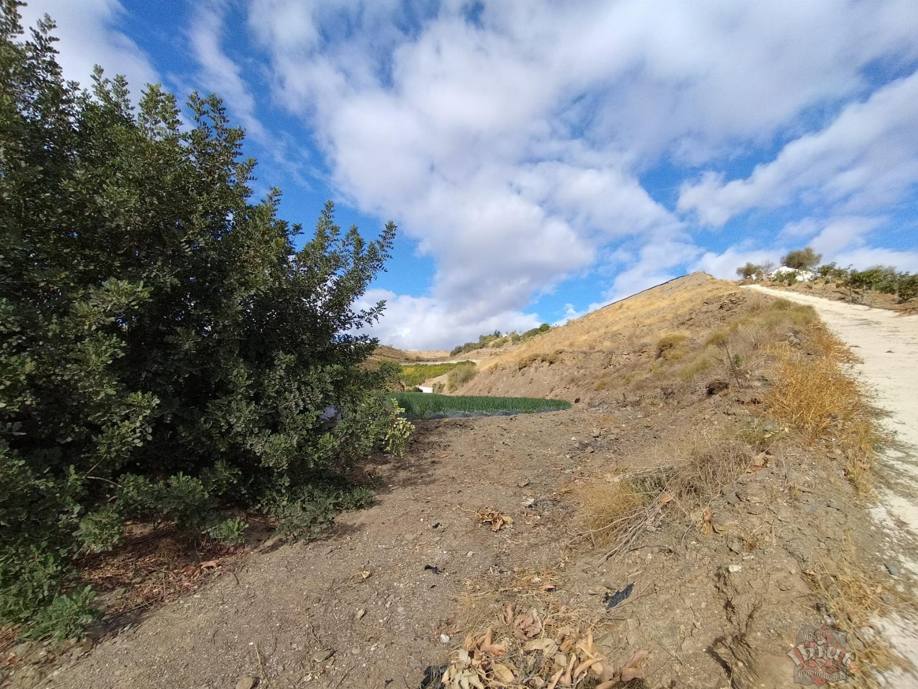 Venta de terreno en Algarrobo