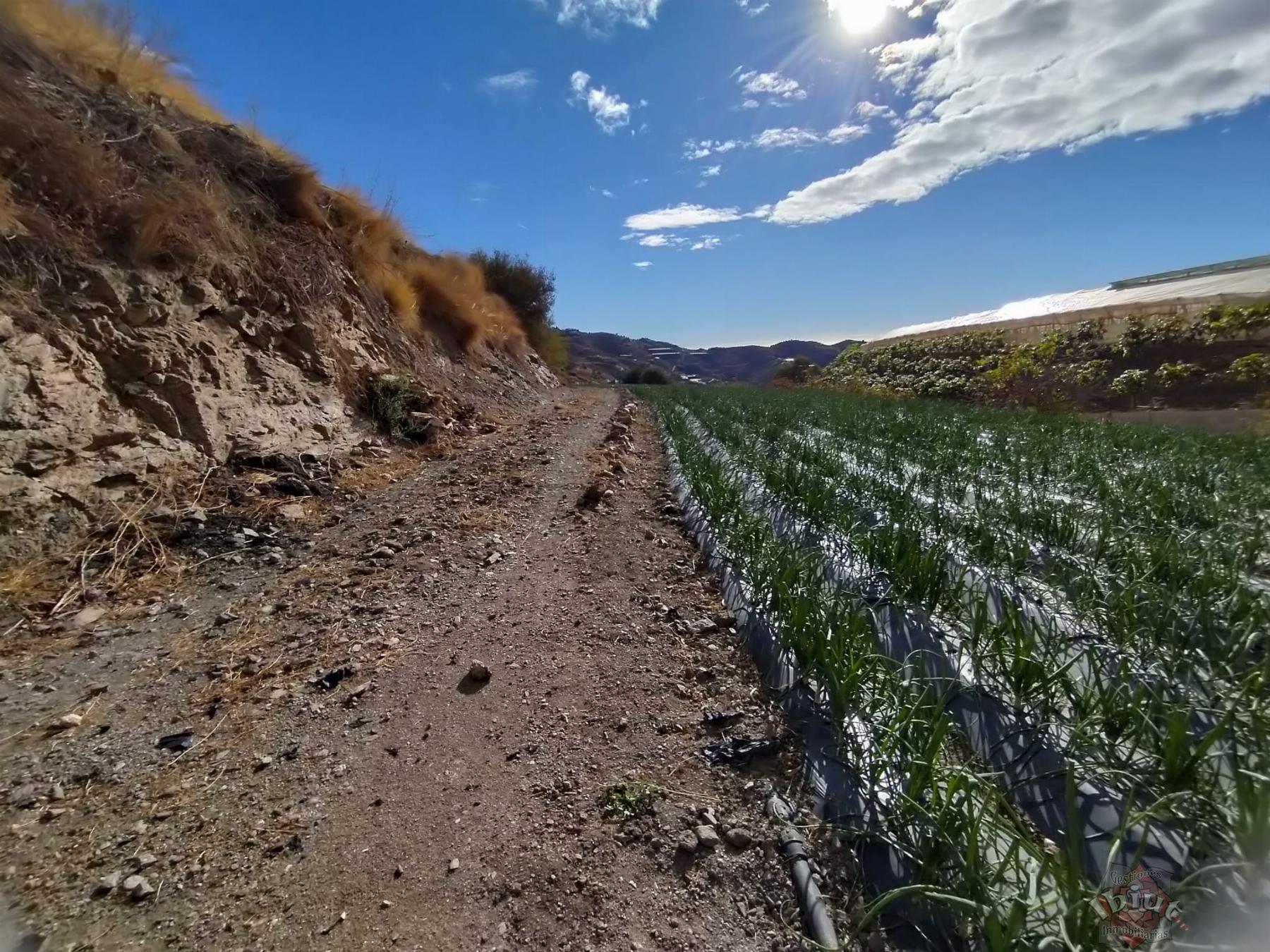 Venta de terreno en Algarrobo