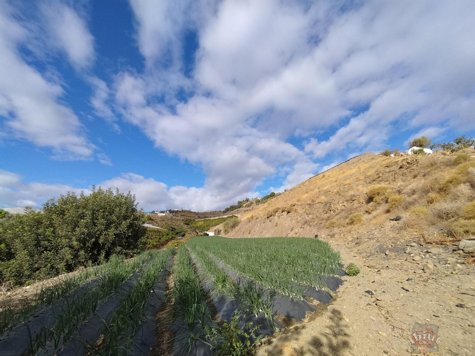 Venta de terreno en Algarrobo