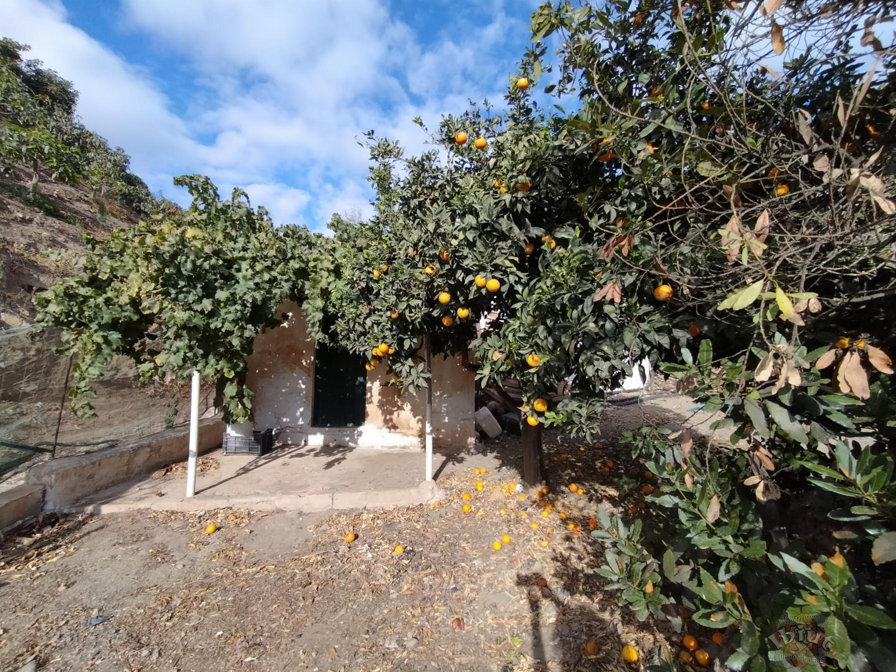 Venta de terreno en Algarrobo