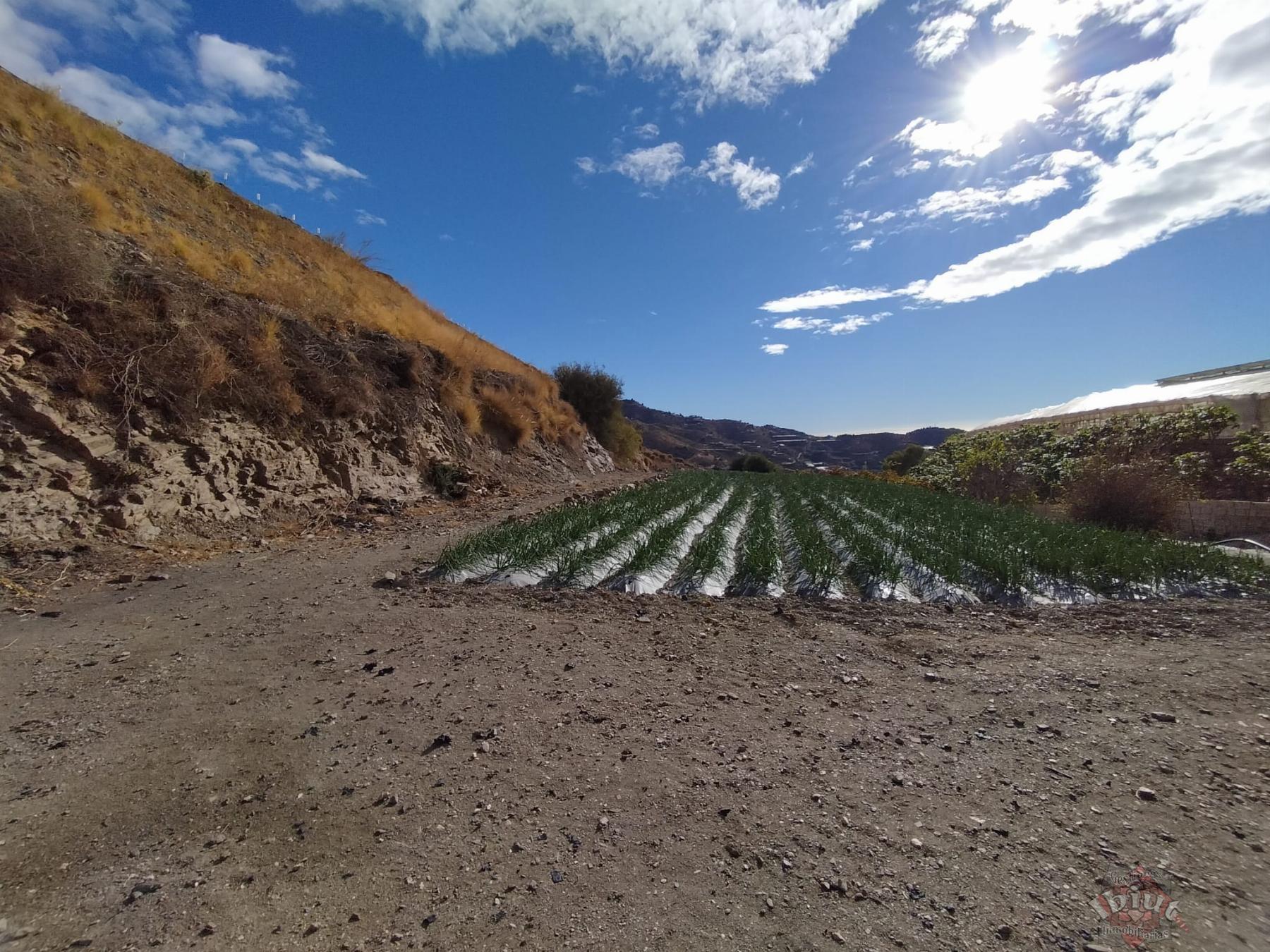 Venta de terreno en Algarrobo