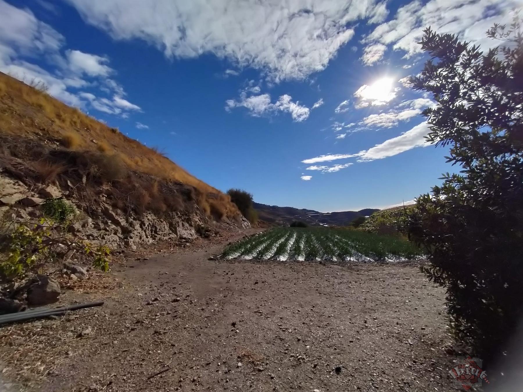 Venta de terreno en Algarrobo