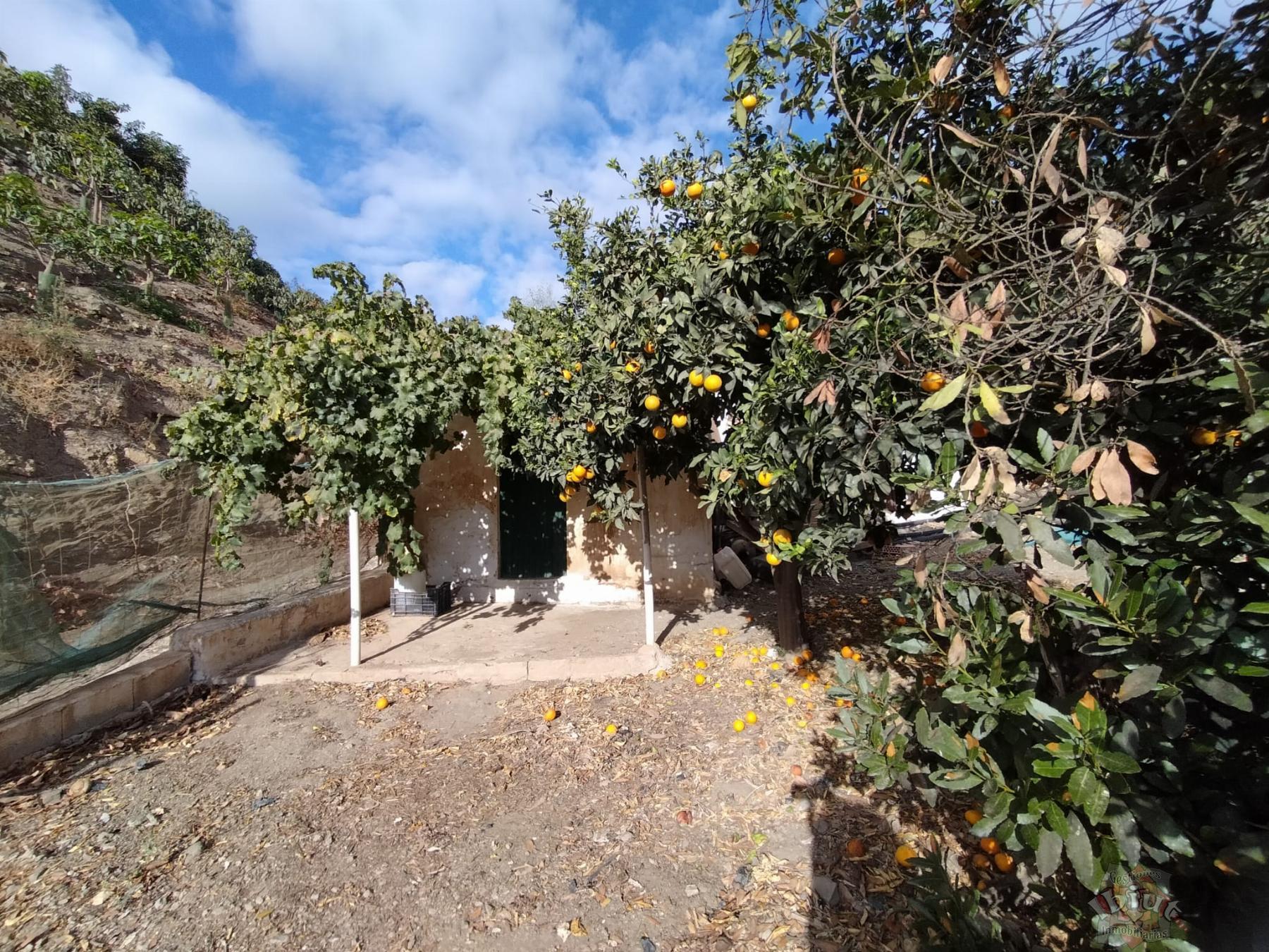 Venta de terreno en Algarrobo