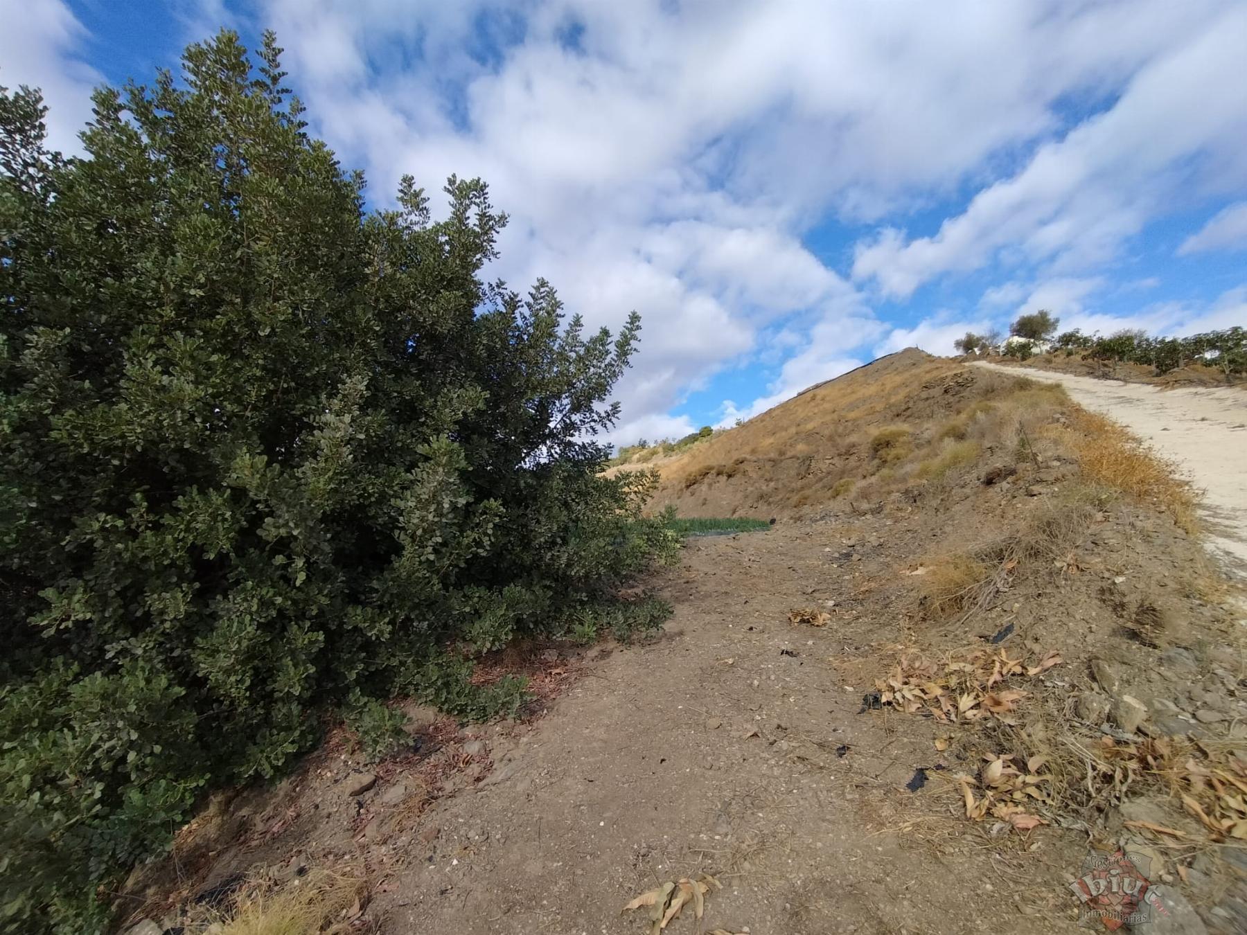Venta de terreno en Algarrobo