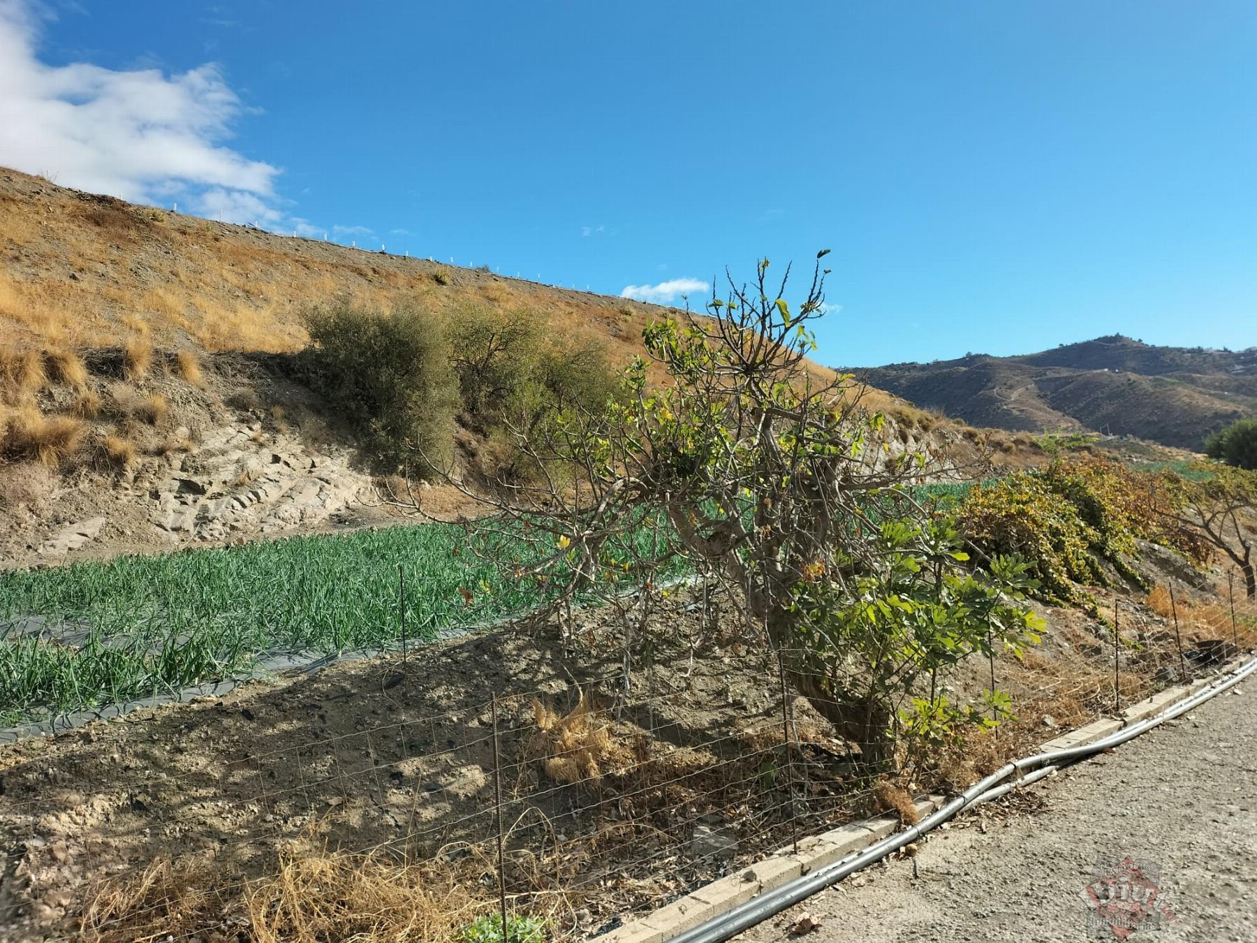 Venta de terreno en Algarrobo