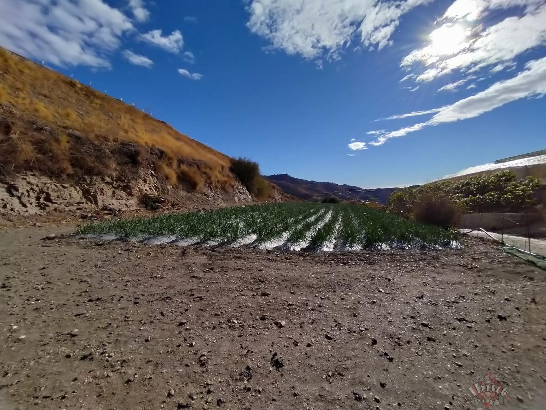Venta de terreno en Algarrobo
