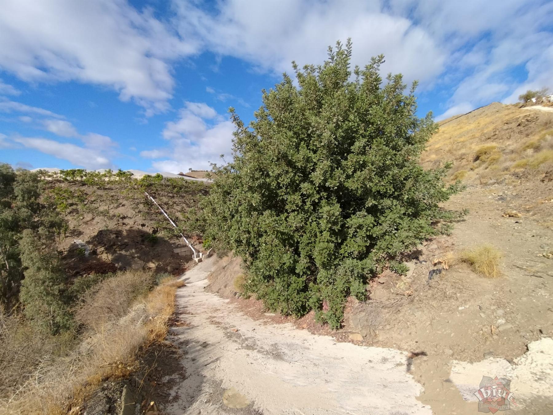 Venta de terreno en Algarrobo