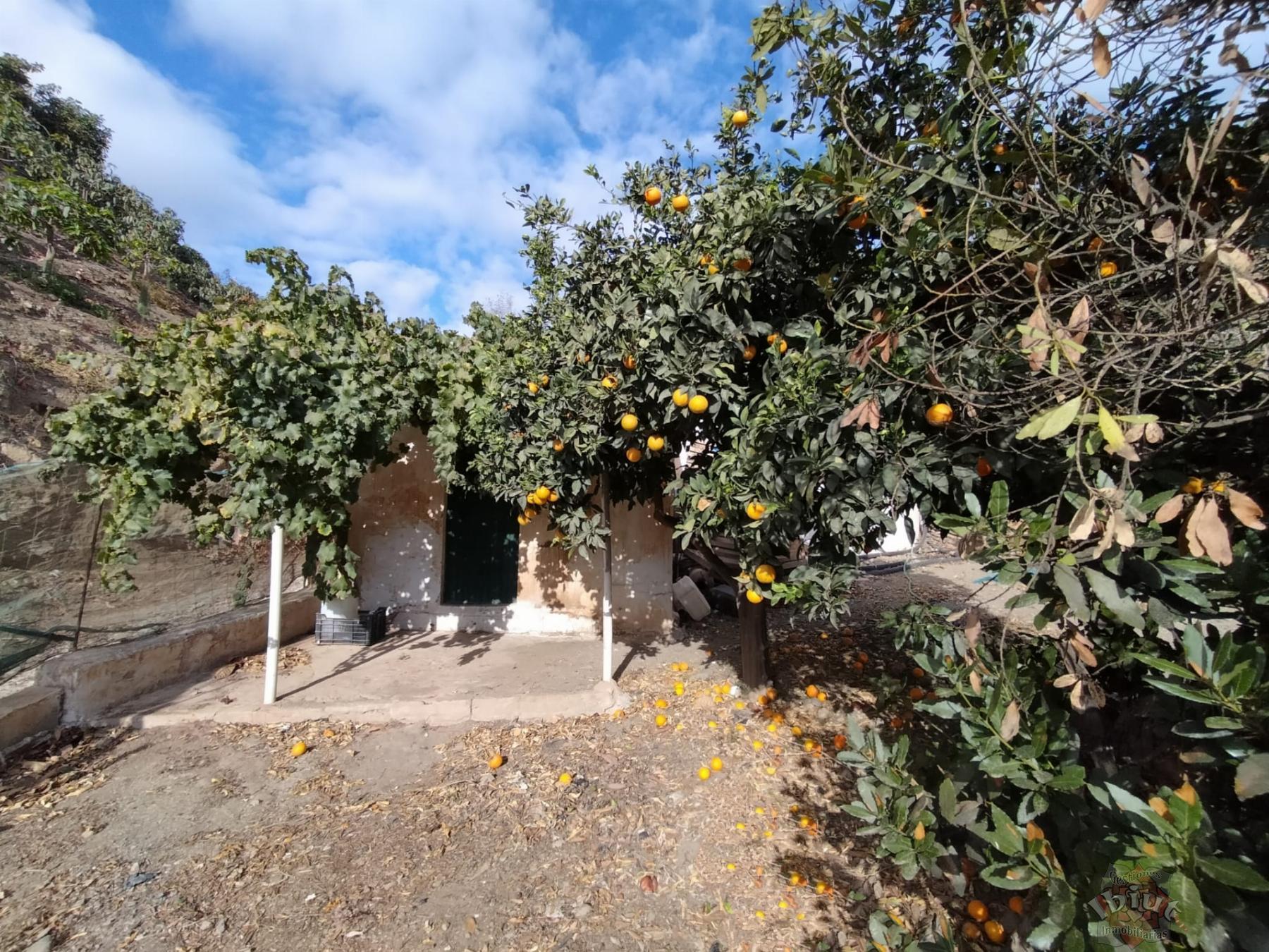 Venta de terreno en Algarrobo