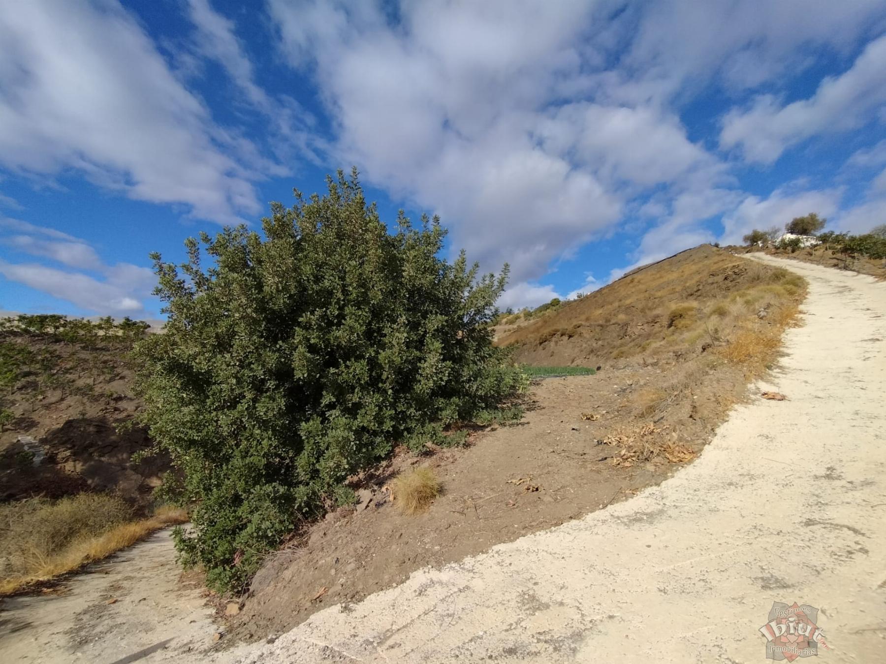 Venta de terreno en Algarrobo