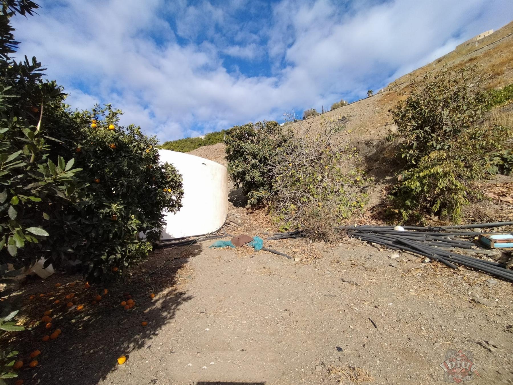 Venta de terreno en Algarrobo