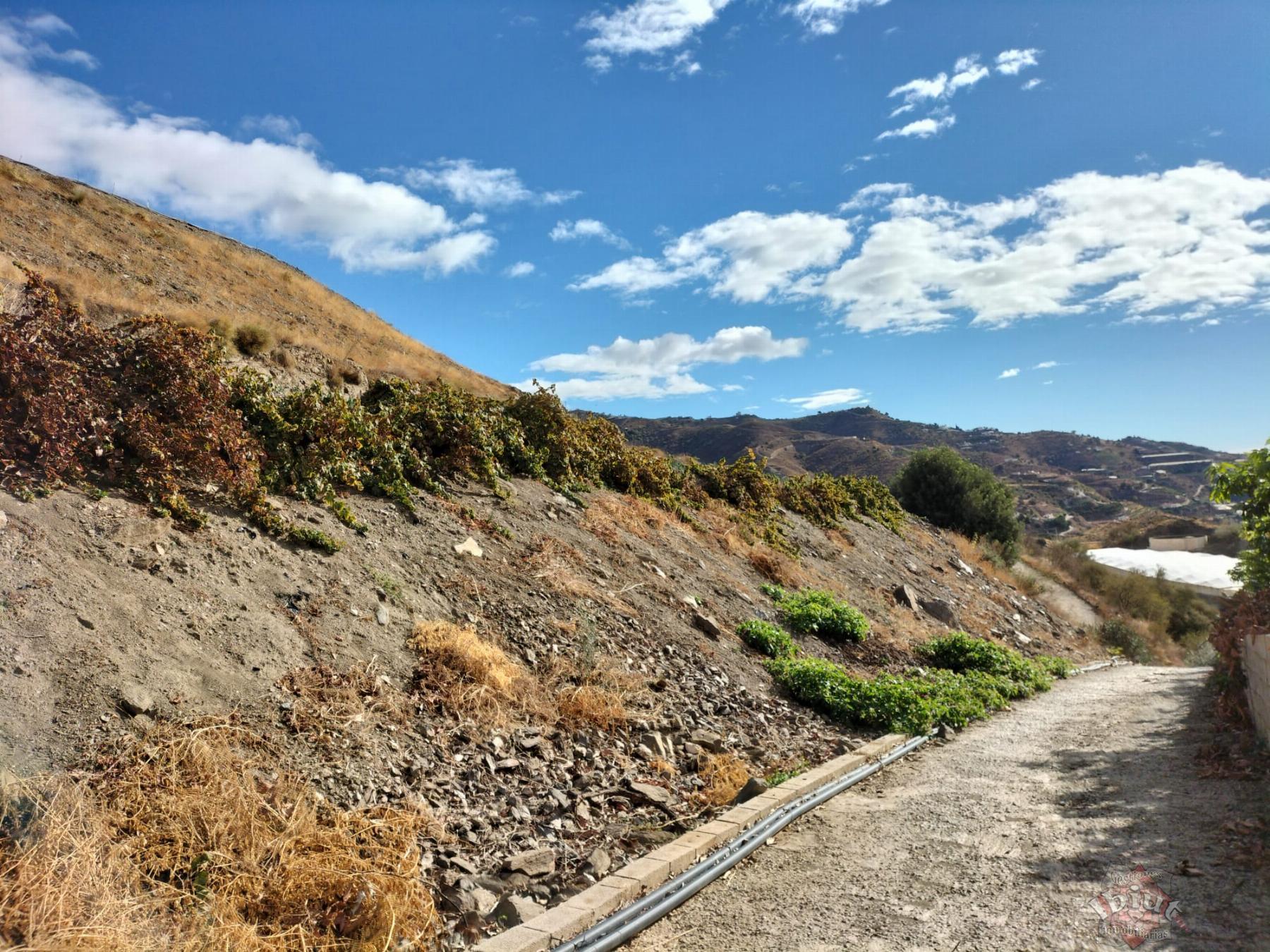 Venta de terreno en Algarrobo