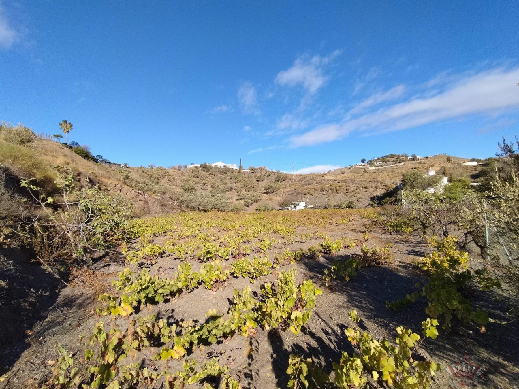 For sale of land in Algarrobo