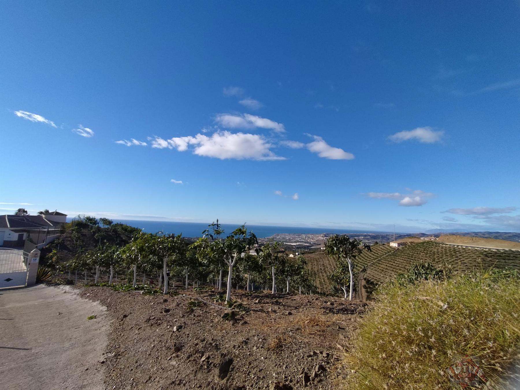 For sale of land in Algarrobo