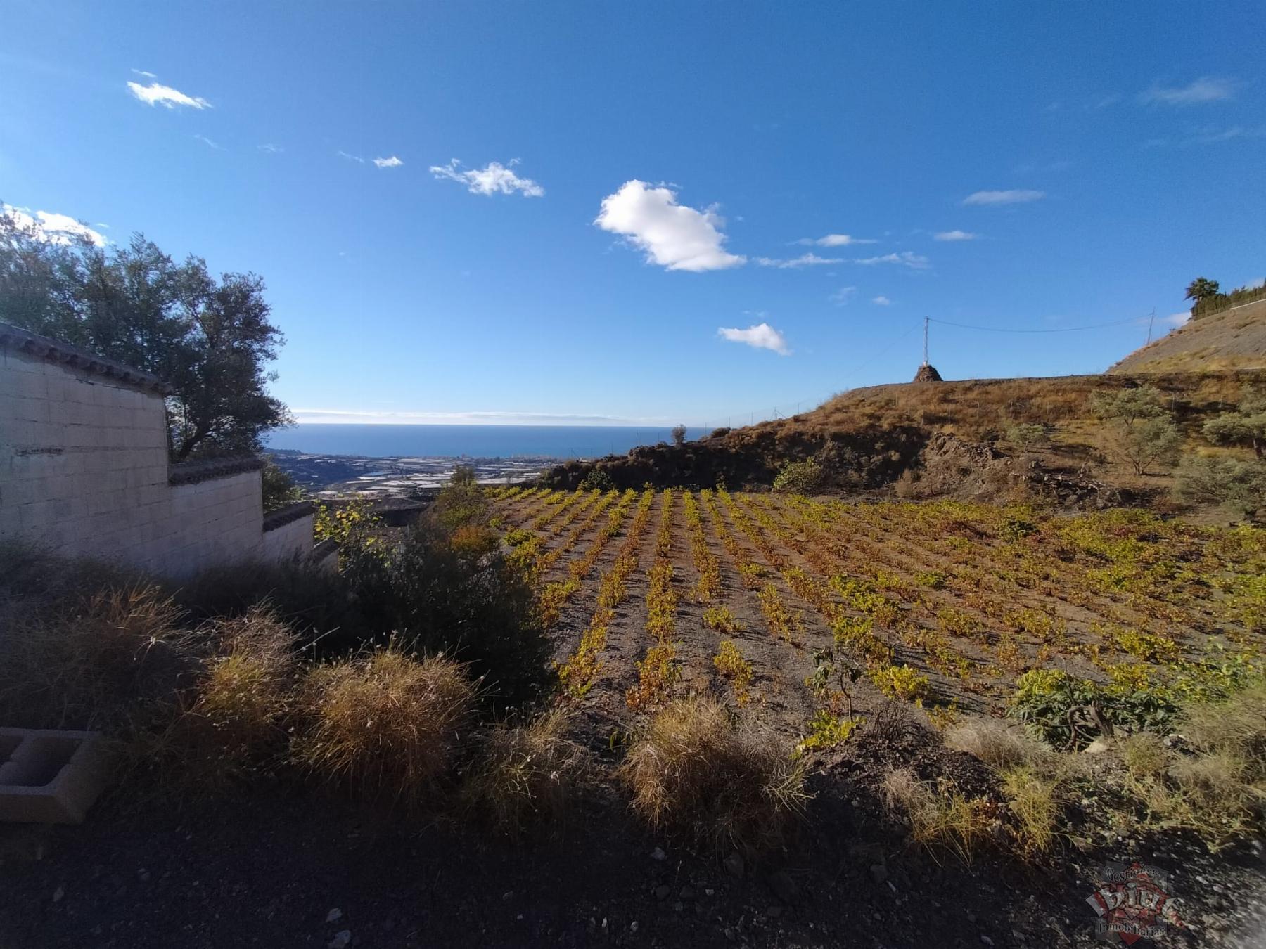 For sale of land in Algarrobo